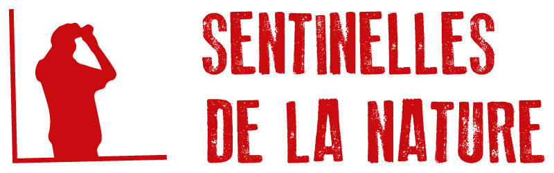 logo Sentinelles