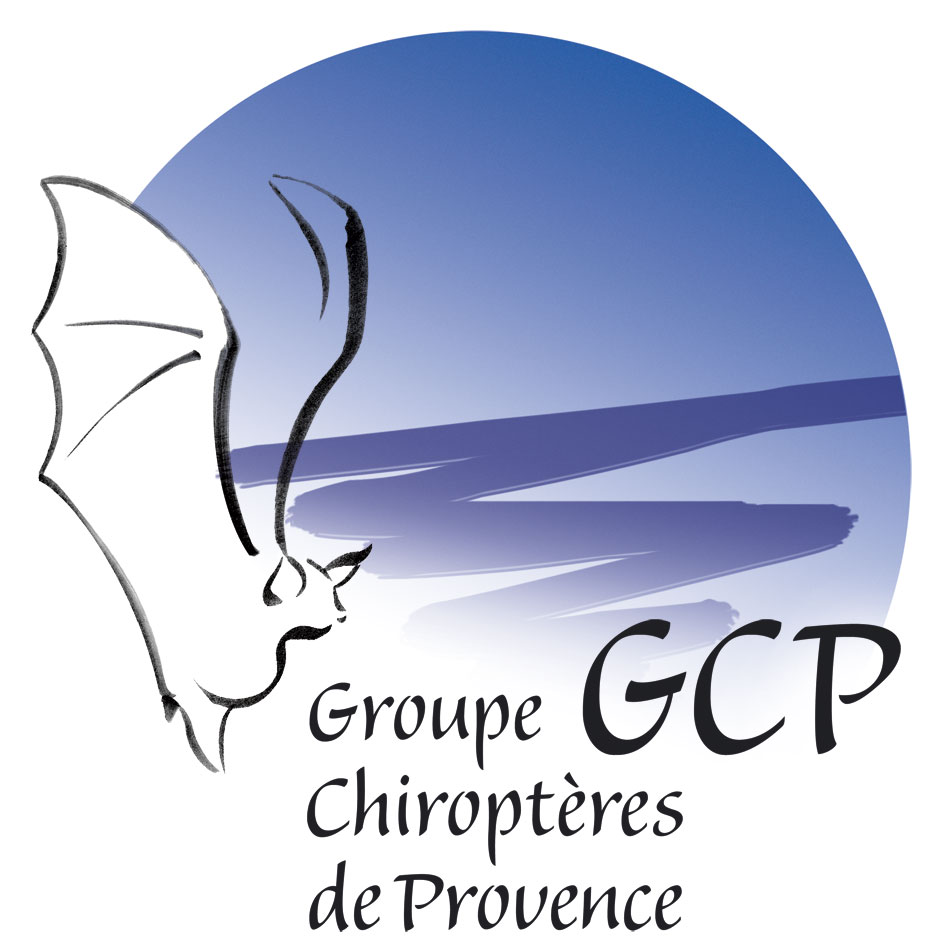 logo GCP