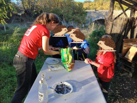 Atelier bombes à graines