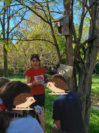 Activité sur les nichoirs