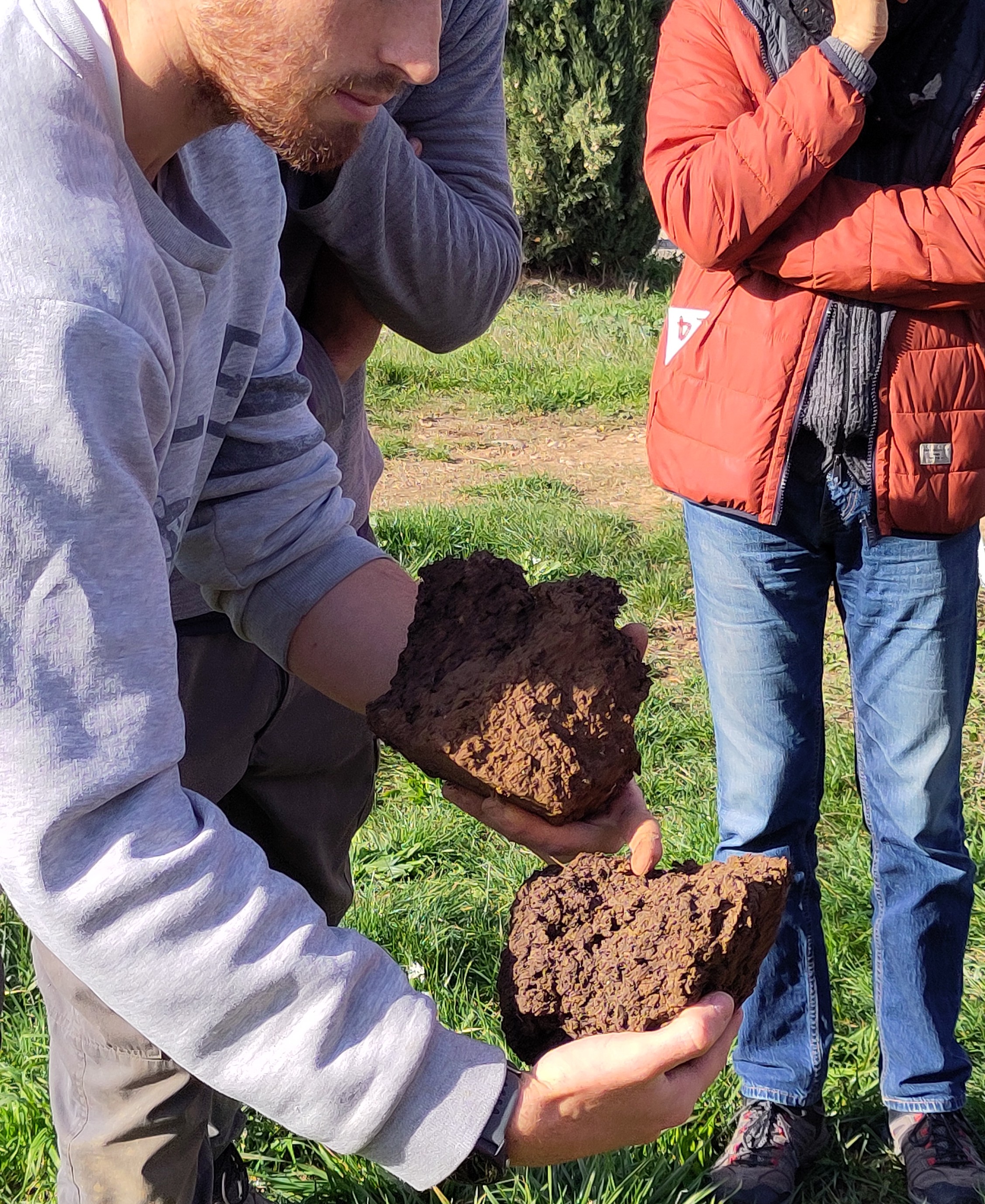 L'apport se mélange à la terre