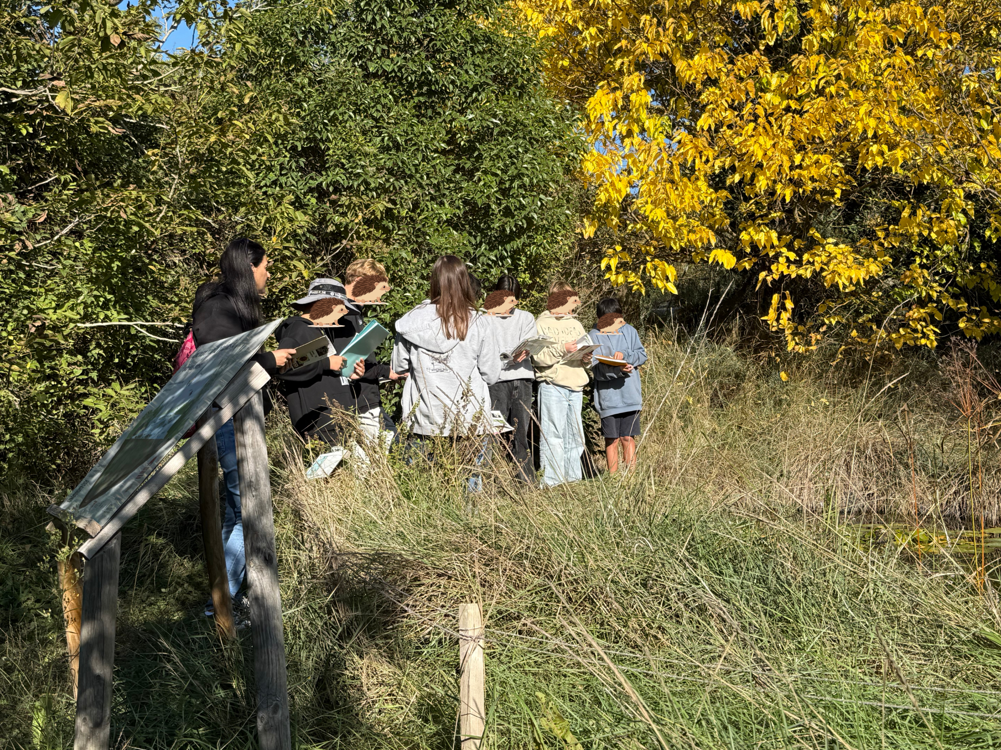 Animation écosystèmes