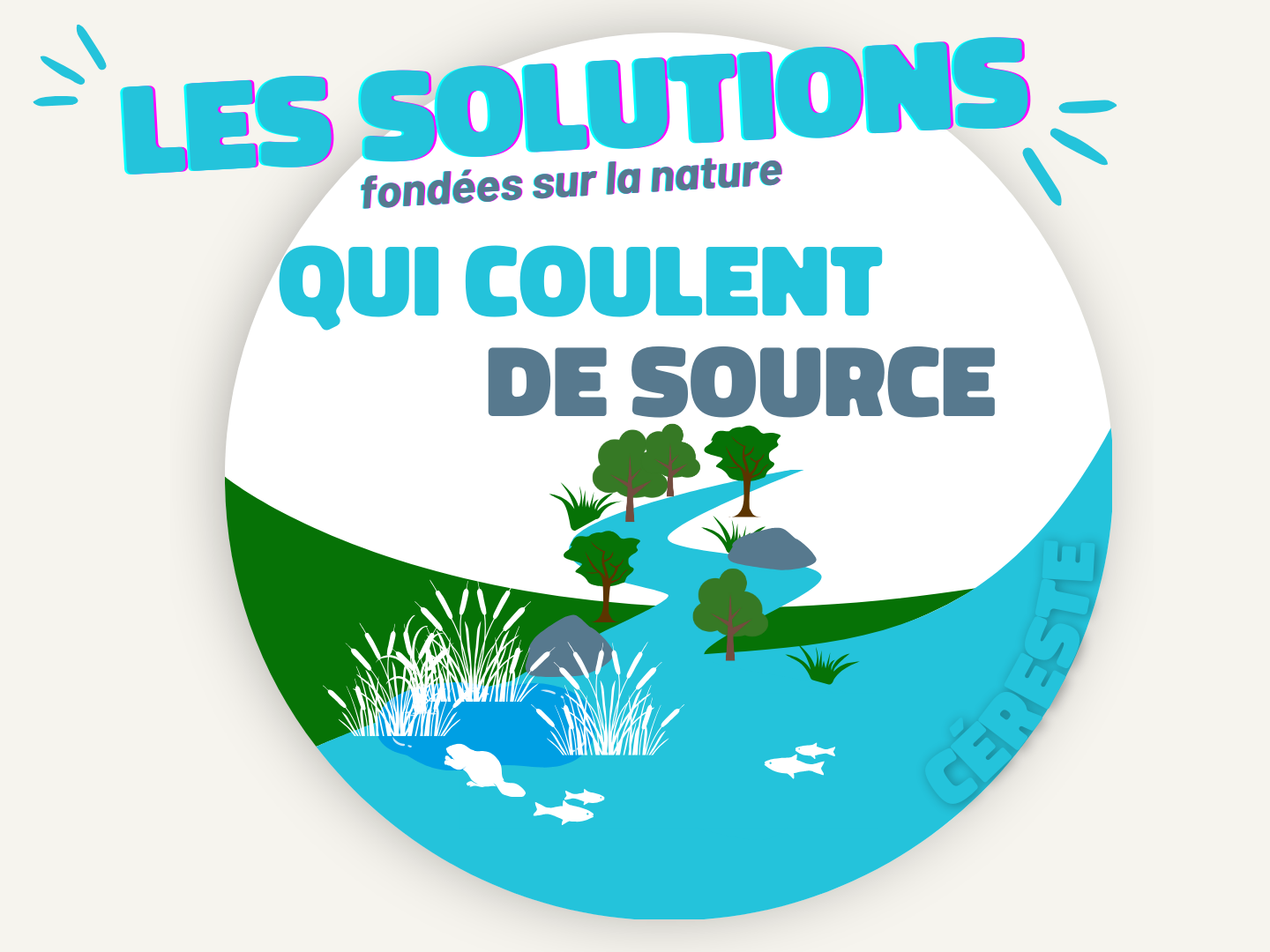 solutions fondées sur la Nature