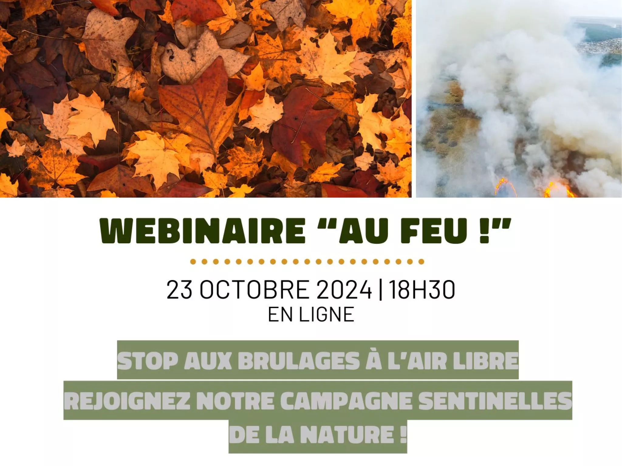 Webinaire "Au Feu!" 23.10.24