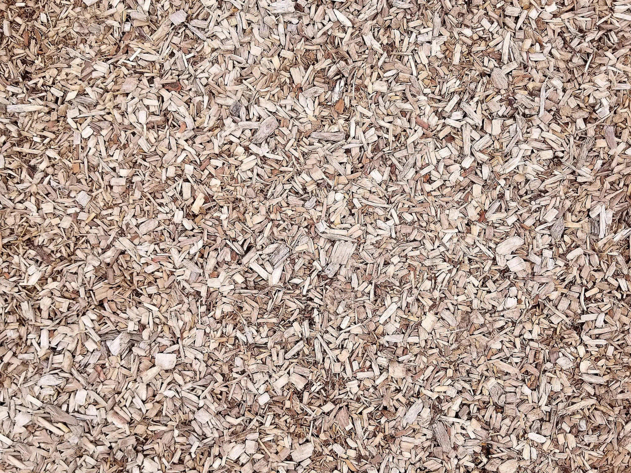 Le broyat, ferment d'un sol vivant.