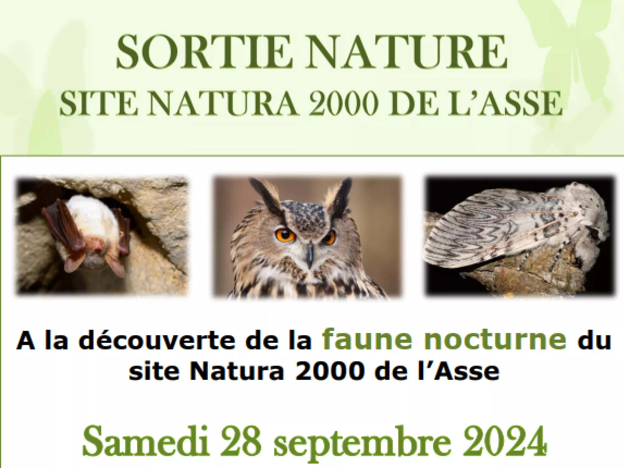 Sortie nature