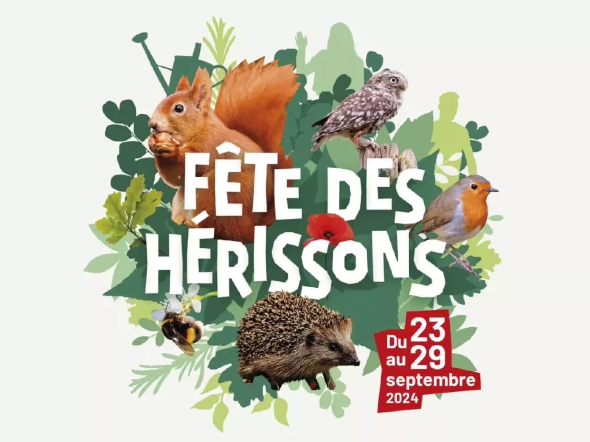 fête des hérissons