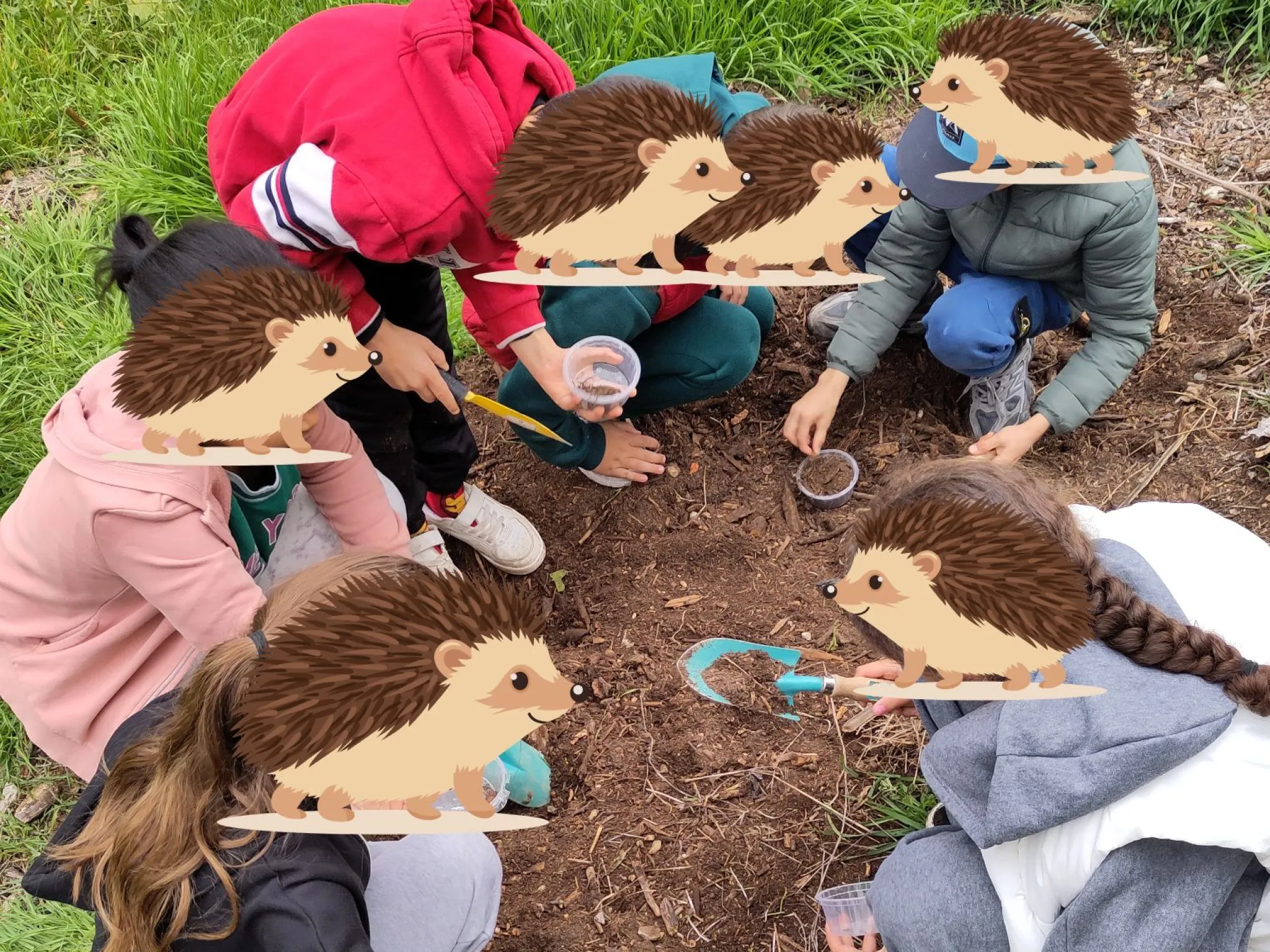 Recherche de biodiversité dans le sol