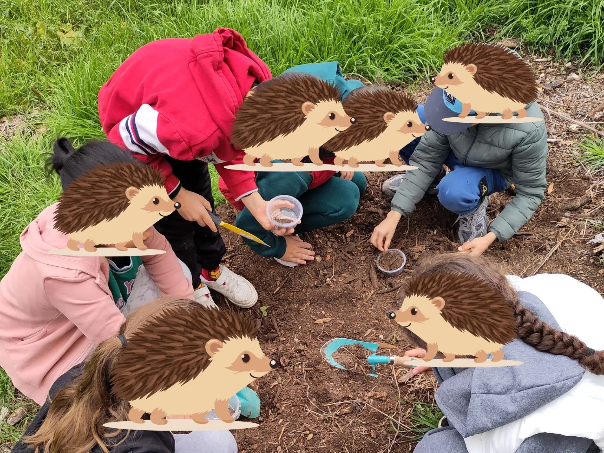 Recherche de biodiversité dans le sol