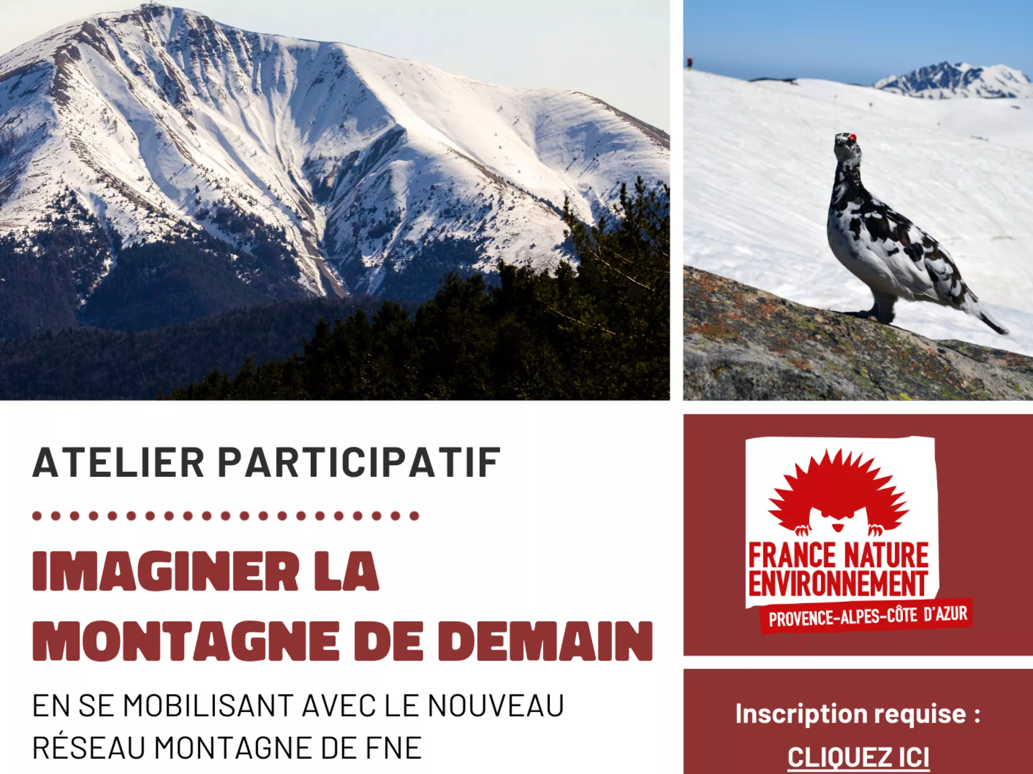 affiche