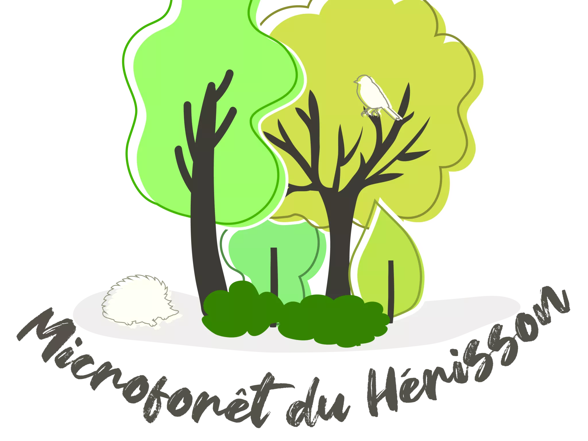 Logo Micro-forêt
