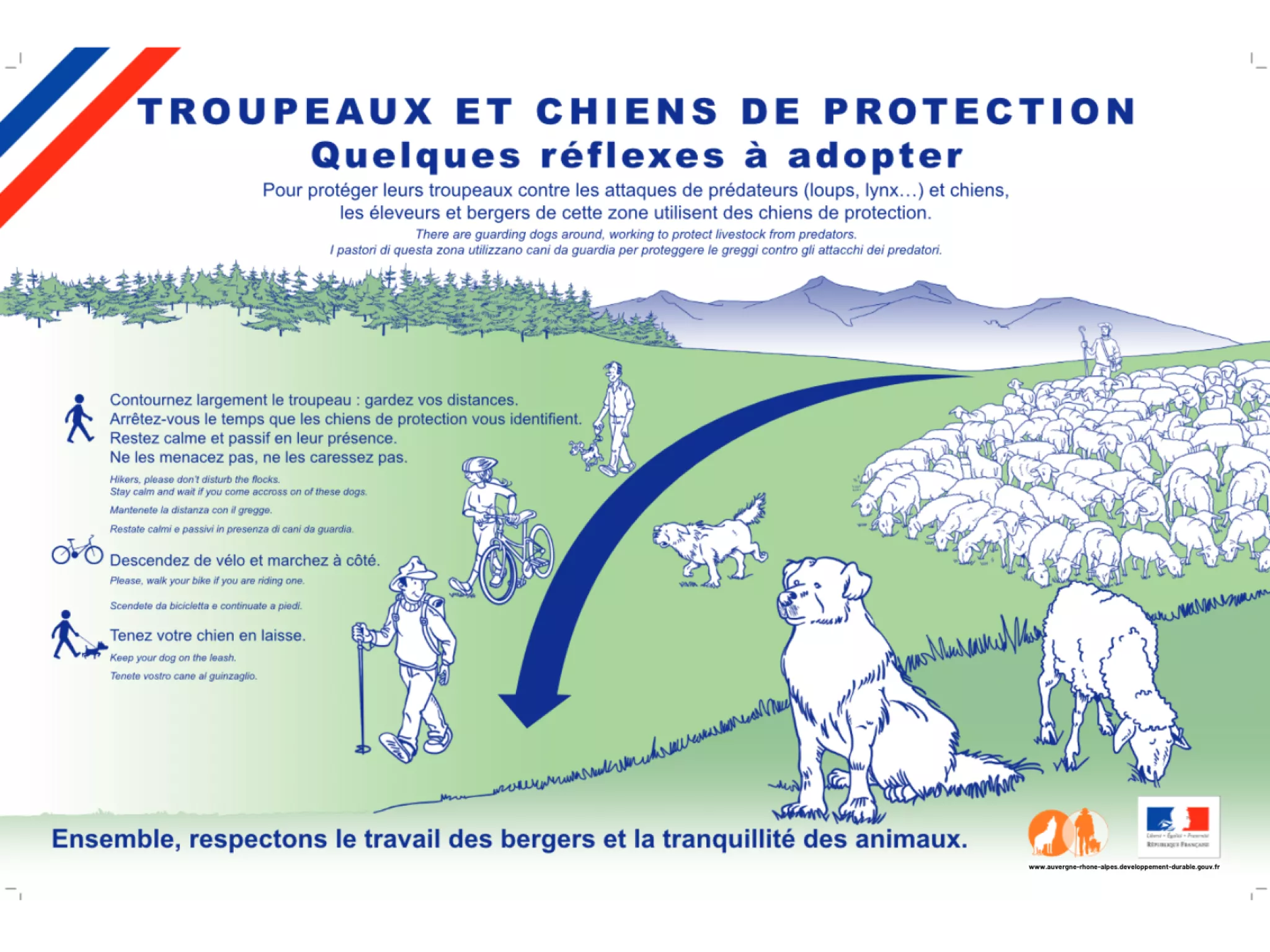 Chiens de protection - Quelques réflexes à adopter