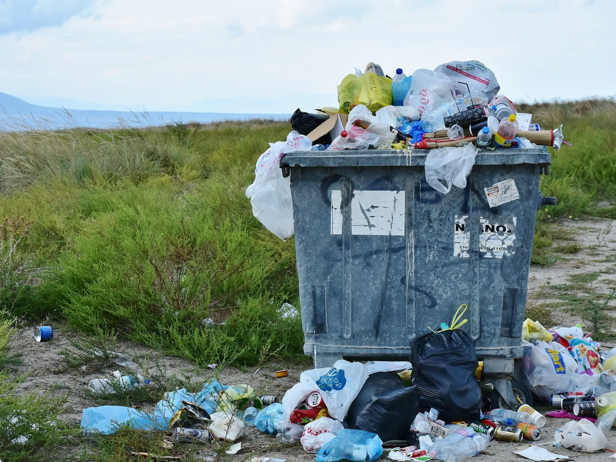 Déchets dans la nature