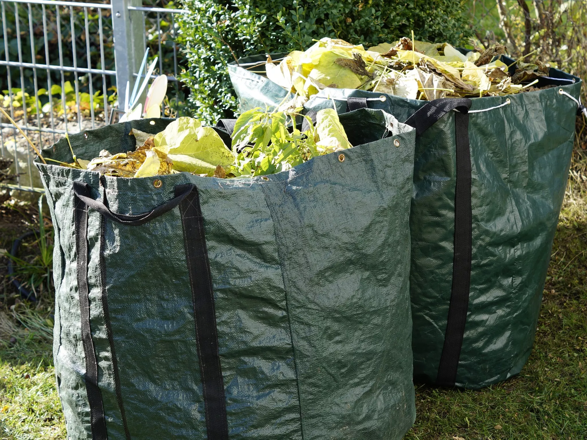 Déchets verts de jardin