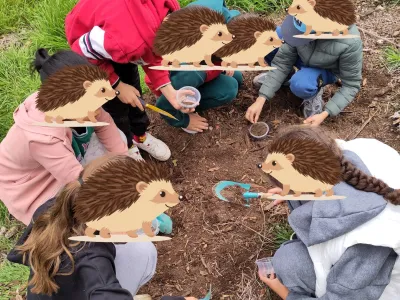 Recherche de biodiversité dans le sol