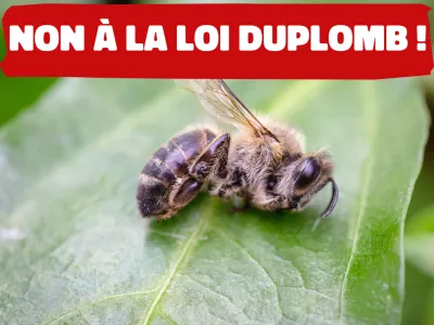NON