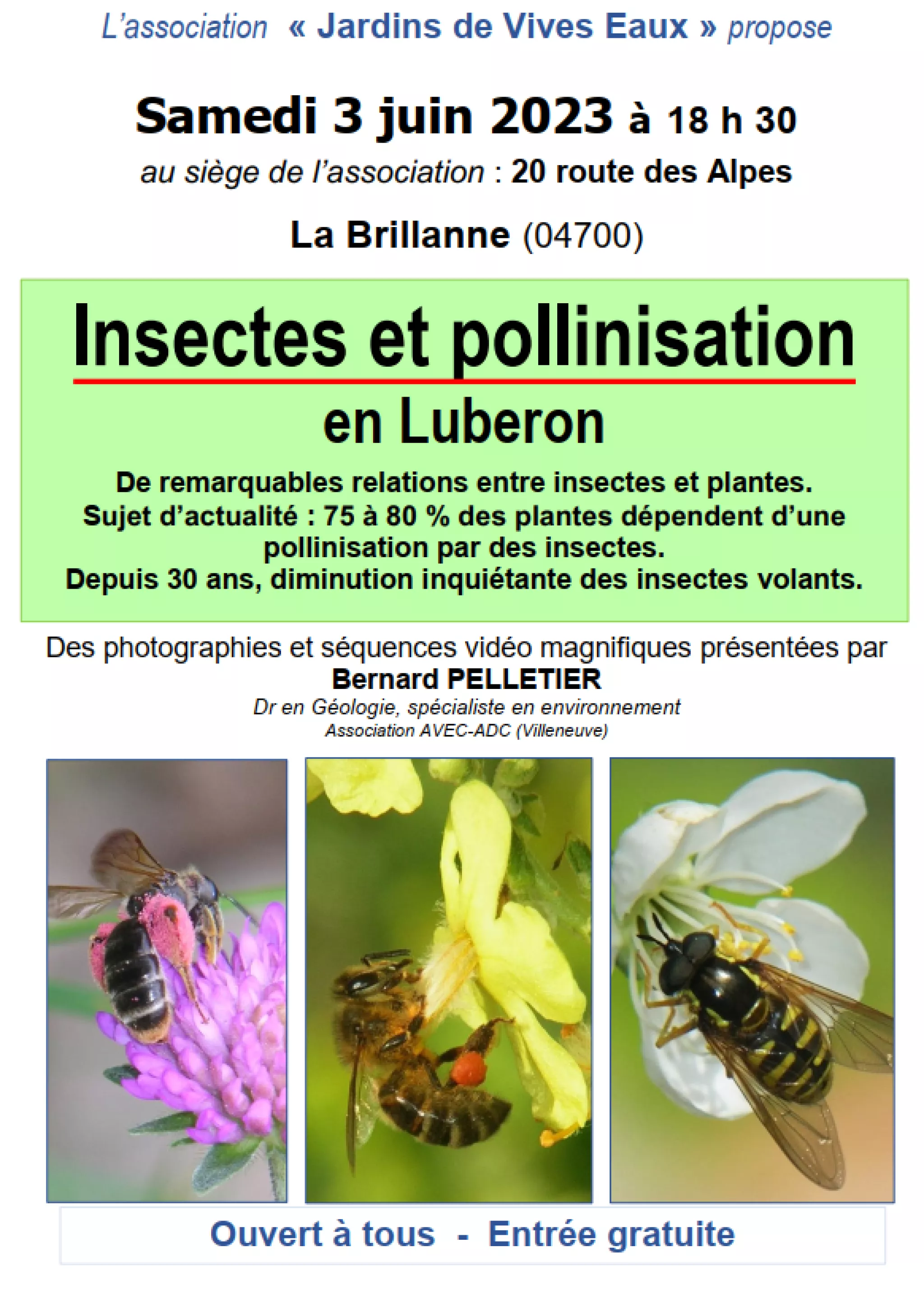 Brochure de l'exposé "Insectes et pollinisation en Luberon"