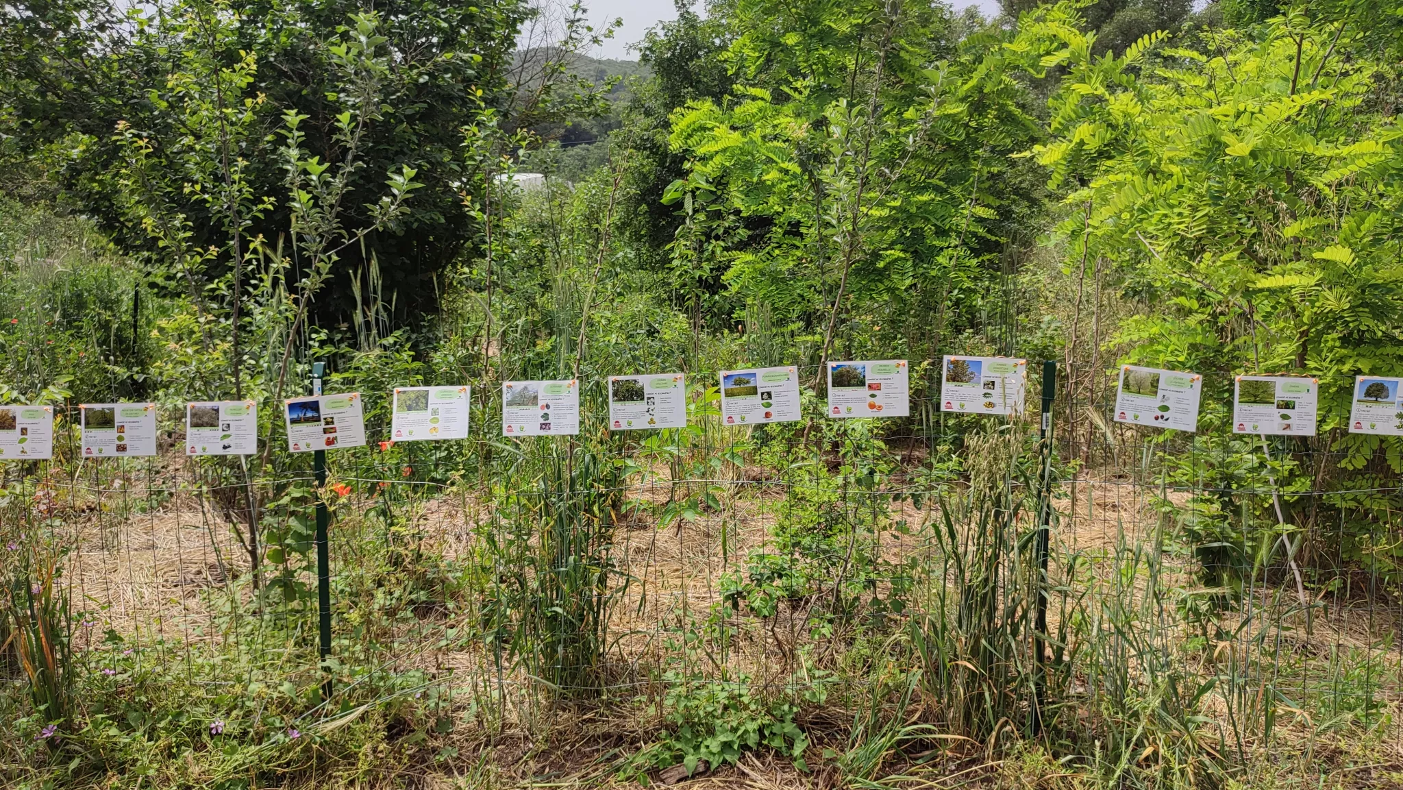 Photo des panneaux informatifs de la Micro-forêt du Hérisson