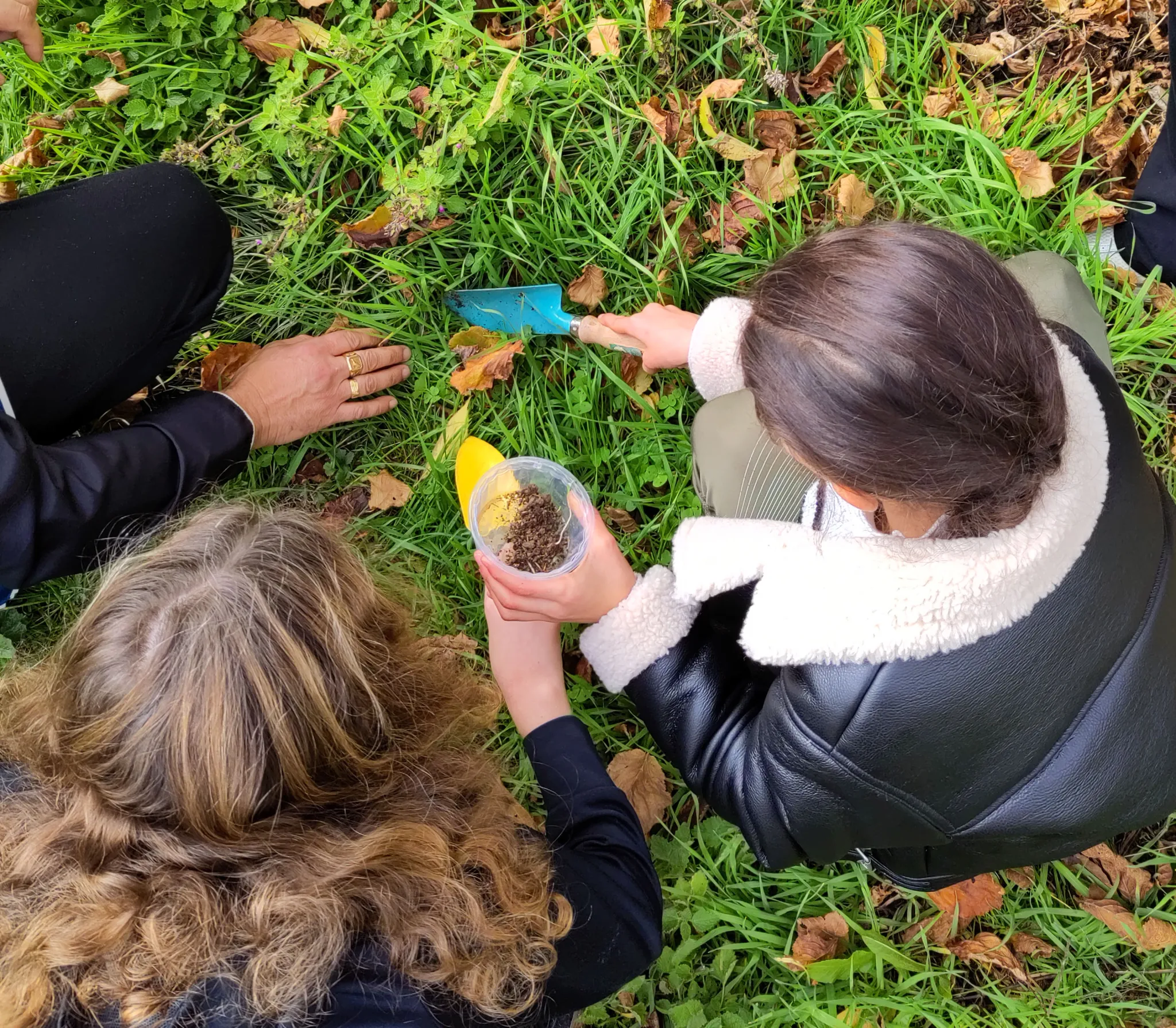 Élèves à la recherche de la biodiversité du sol
