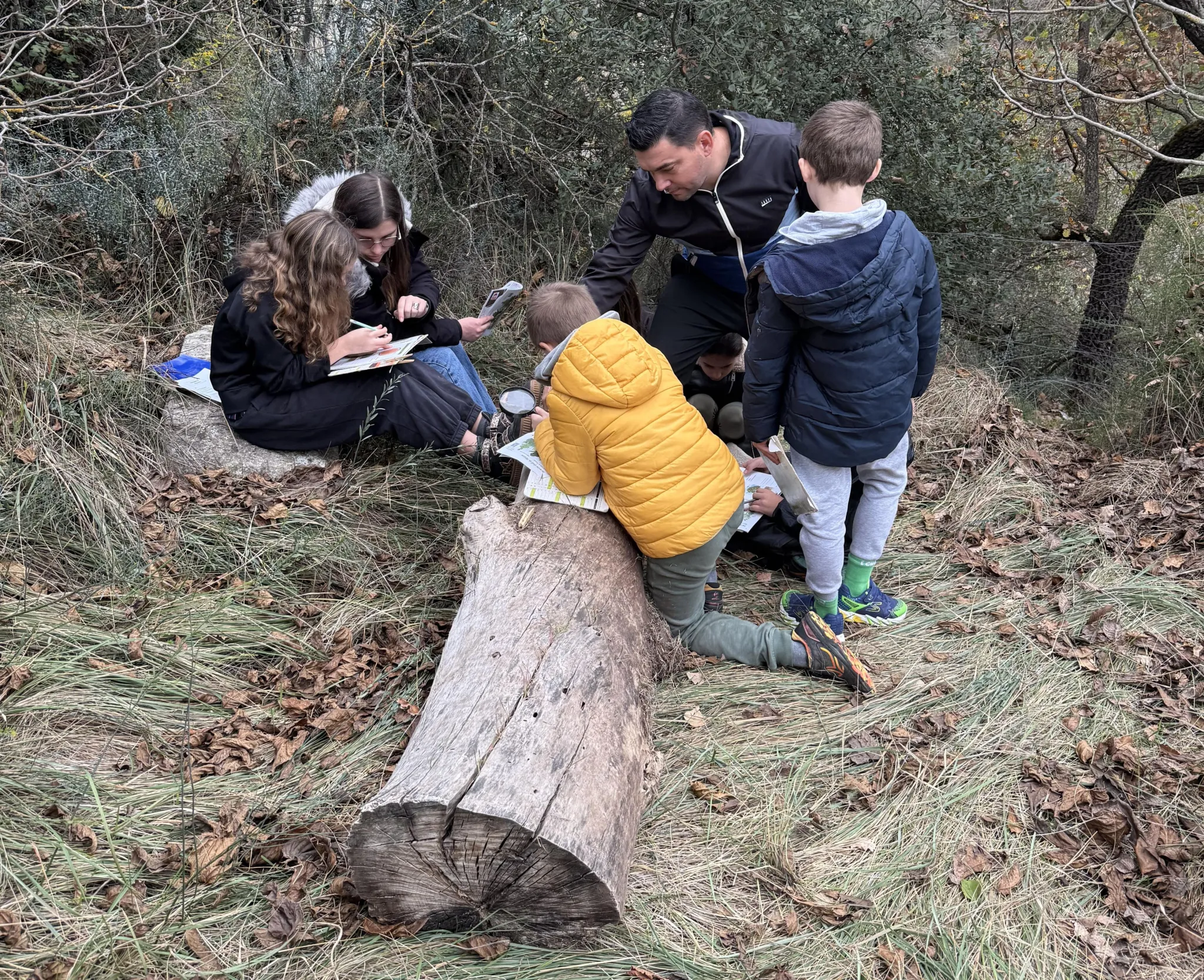 Atelier sur la structure de l'arbre