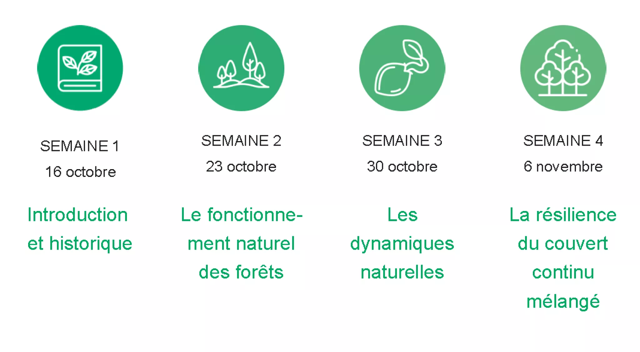 programme par semaine