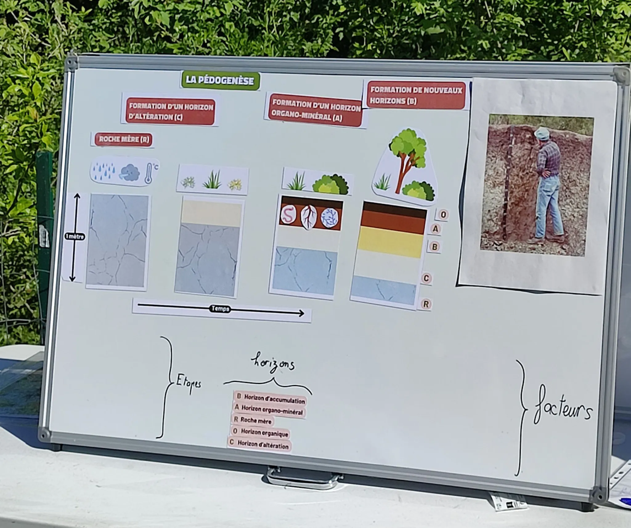 Tableau sur la pédogenèse