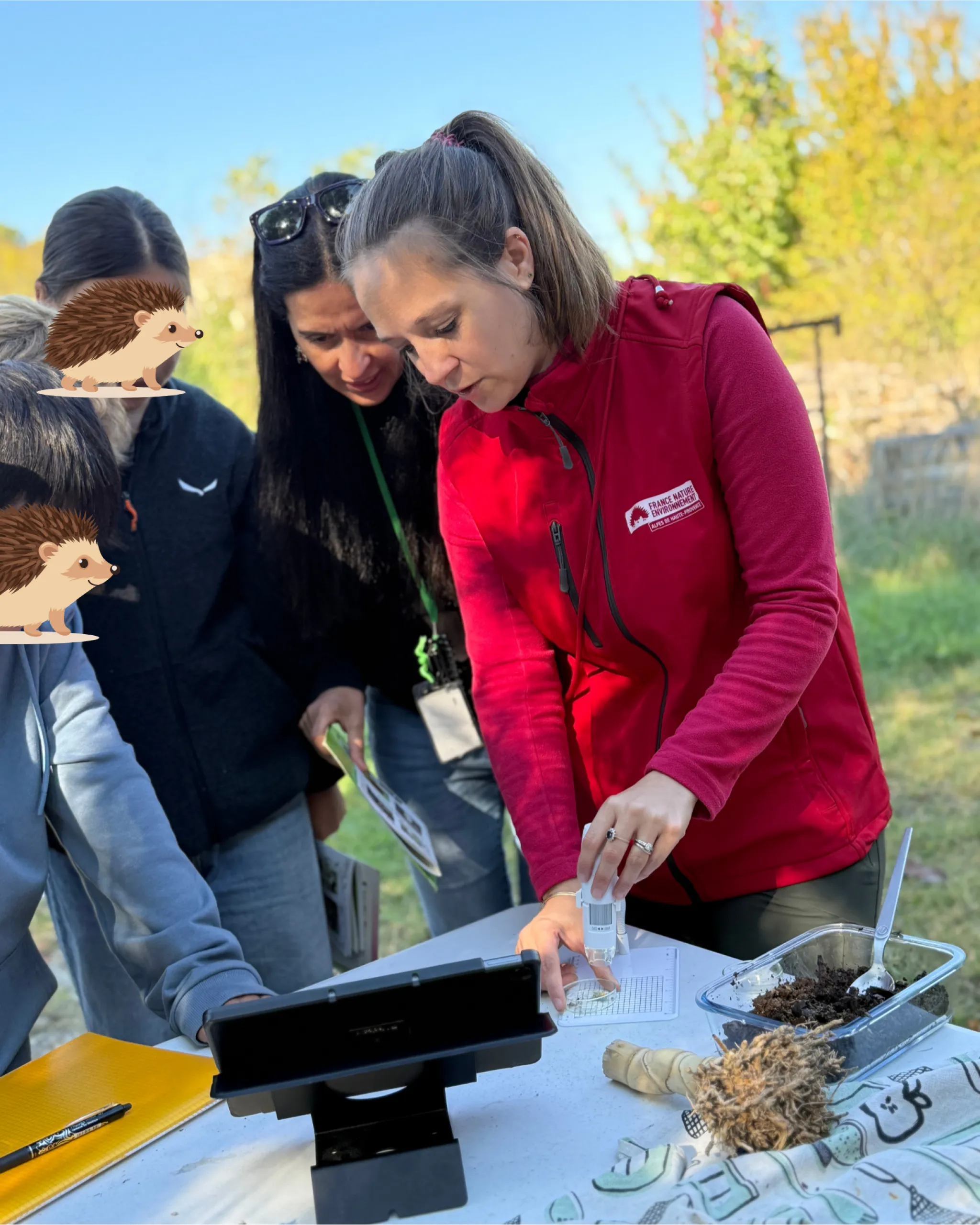 Animation biodiversité du sol