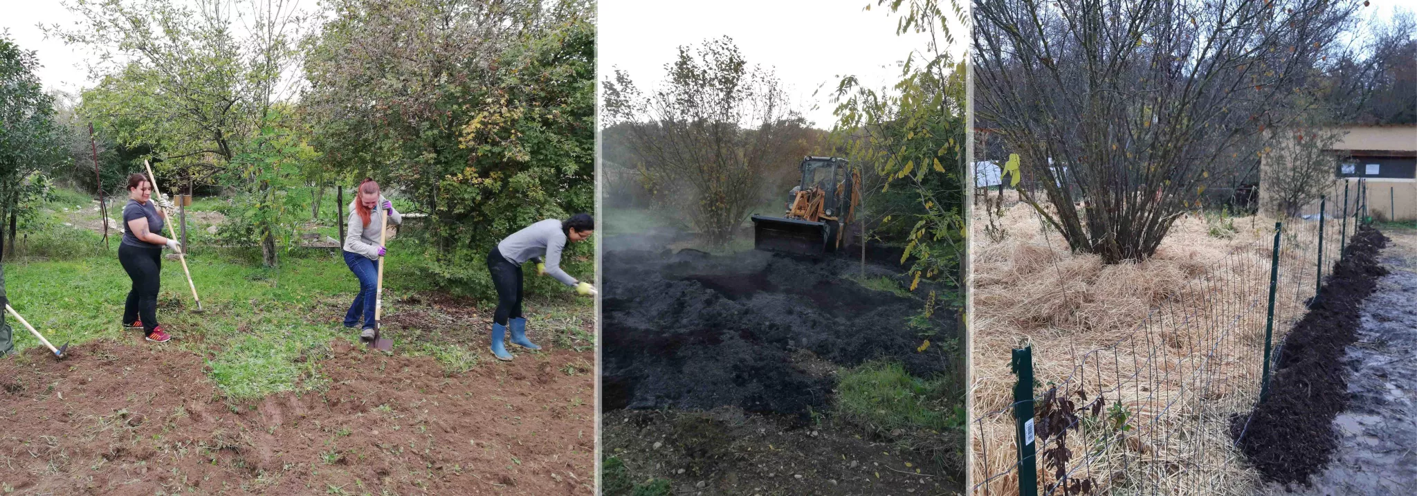 Travaux de préparation de la micro-forêt