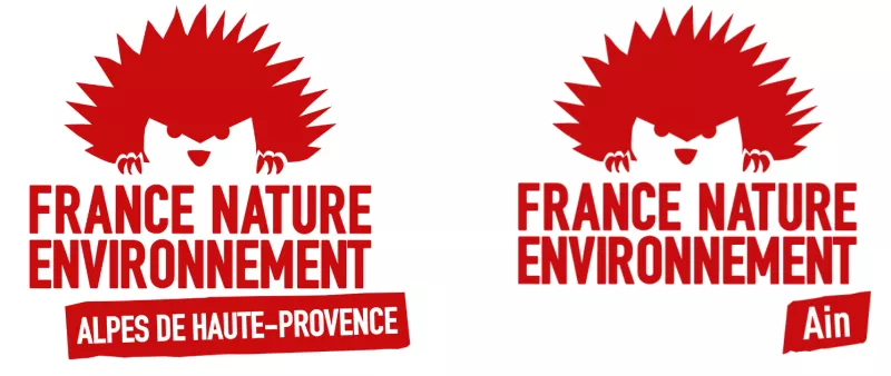 Logos FNE